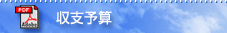 収支予算