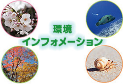 環境インフォメーション