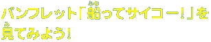 ptbguDăTCR[IvĂ݂悤I