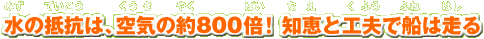 ̒ŔAC̖800{ImbƍHvőD͑