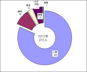 被害状況2013